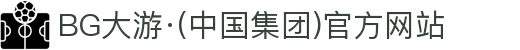 BG大游·(中国集团)官方网站